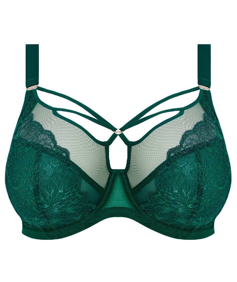 Elomi Brianna Underwire Plunge Bra - Rainforest Bras 