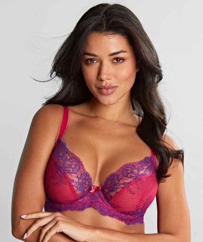 Panache Ana Underwired Plunge Bra - Orchid / Indigo Bras 