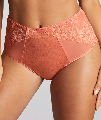 Panache Envy Deep Brief - Terracotta Knickers 