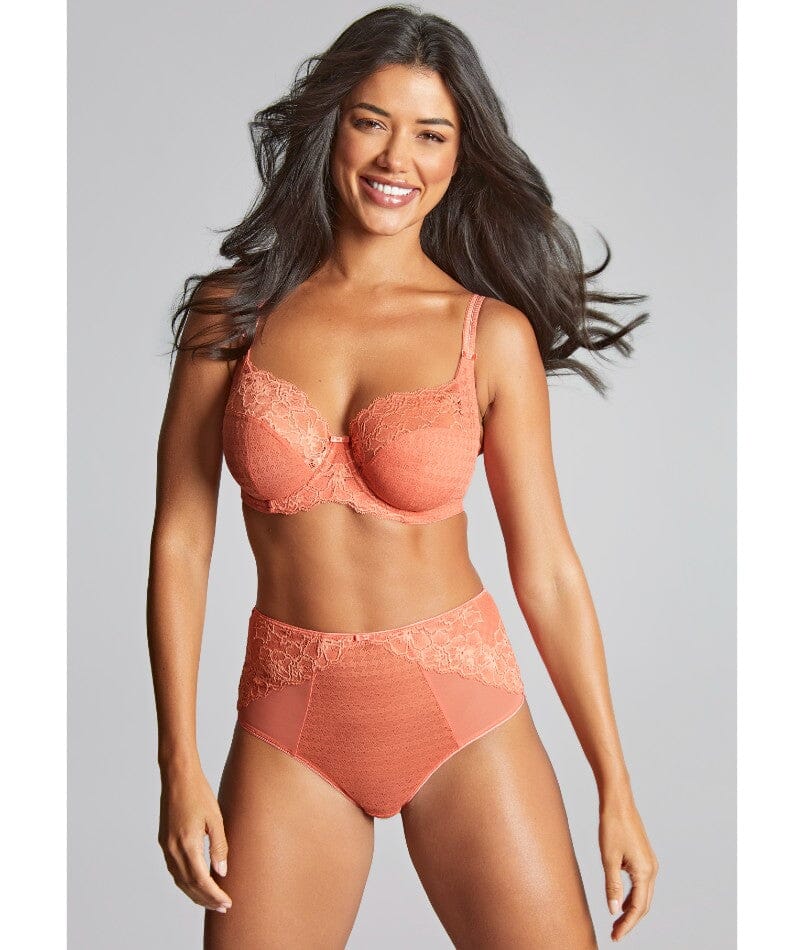 Panache Envy Deep Brief - Terracotta Knickers 