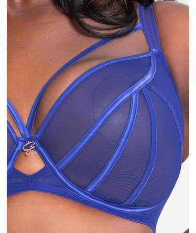 Scantilly Senses Plunge Bra Ultraviolet Bras 