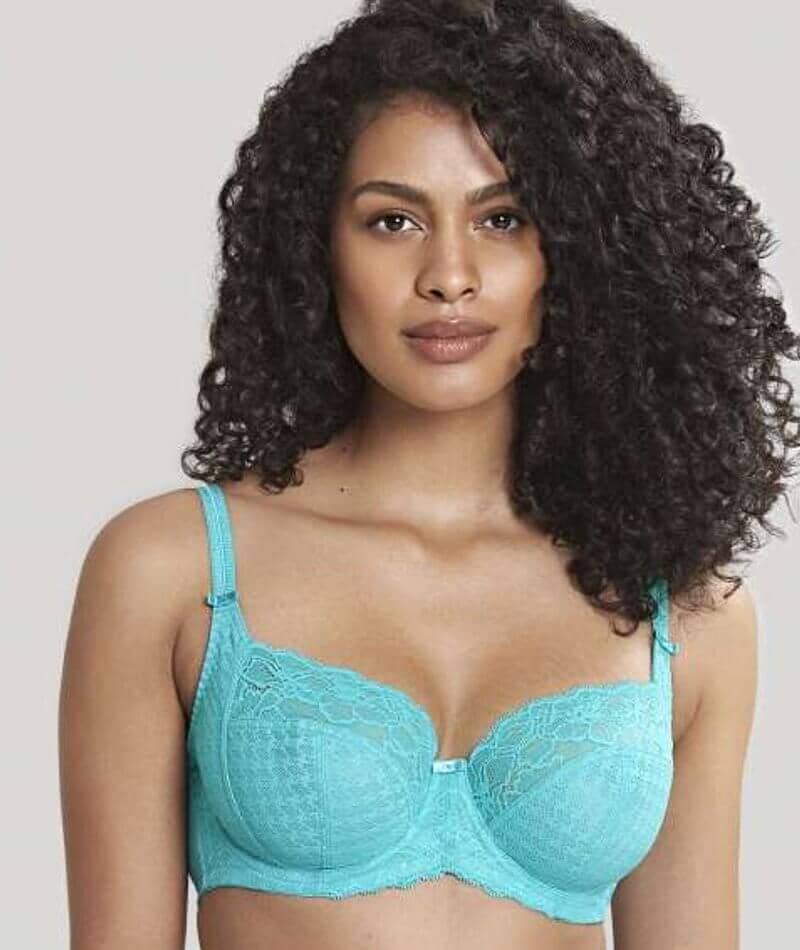 Panache Envy Full Cup Underwire Bra - Ultramarine Bras 